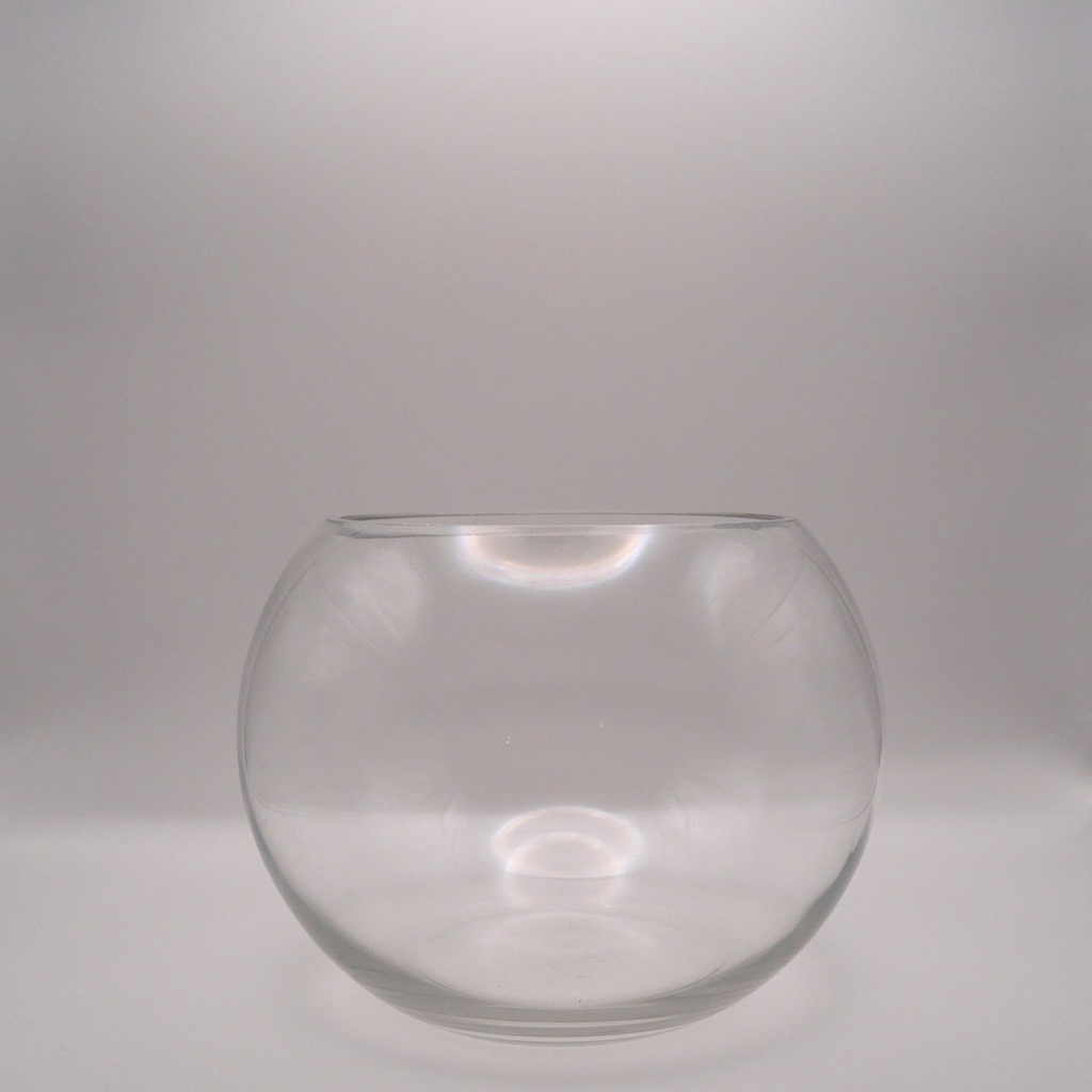 Vase aquarium