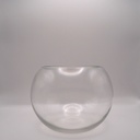 Vase aquarium