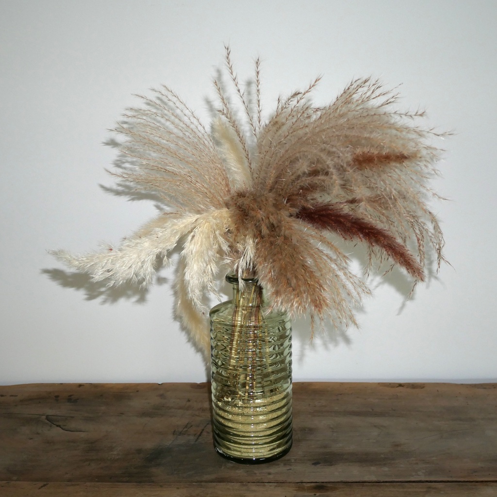 Bouquet de pampa