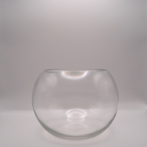 Vase aquarium