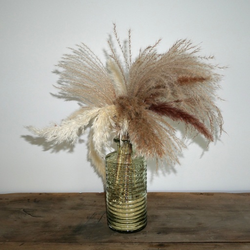 Bouquet de pampa