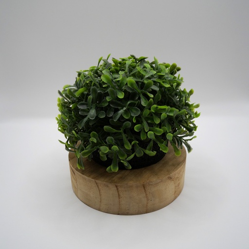 Mini buisson